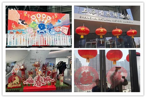 春节场馆人气旺 科普过年有滋味——上海科技馆多措并举确保春节假期平稳运行
