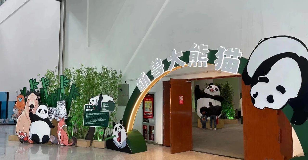 上海科技馆原创展览“萌兽大熊猫”赴克拉玛依科技馆巡展