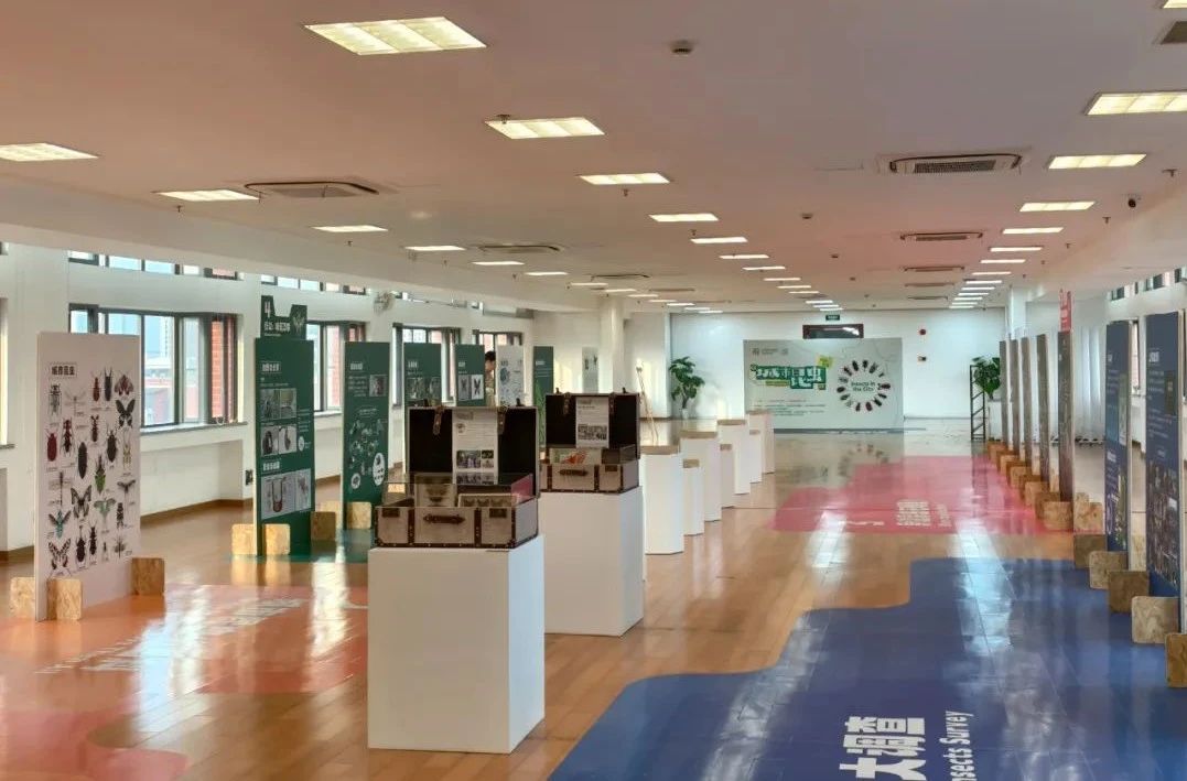 馆校联动下的创新科学教育探索：“城市昆虫”扇动时光的翅膀