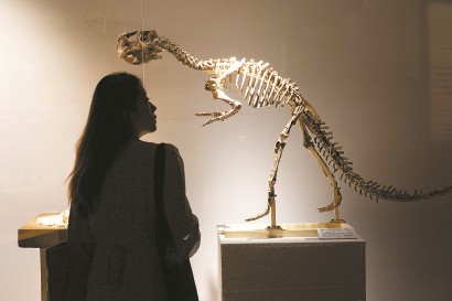 解放日报：在“龙吟九州·中国恐龙大展”看生命演进，亿年历史，凝结于此