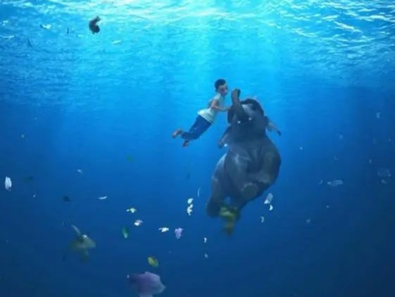 上海科技馆4D动画片《象之童话》获意大利海湾国际卡通节“联合国儿童基金会奖”