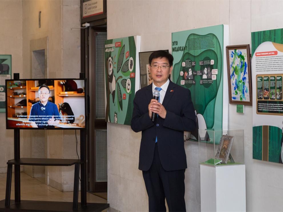 原创展览“萌兽大熊猫”亮相俄罗斯达尔文博物馆，拓展中俄文化交流