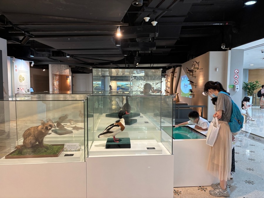文汇报：魔都的另一面藏在这个展览里！上海生物多样性“家底”现身自博馆