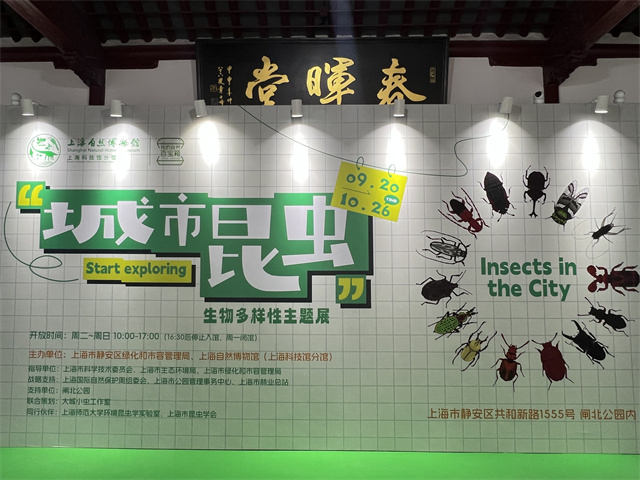 青年报：上海首届城市昆虫挑战赛落幕，市民中有这些“寻虫高手”