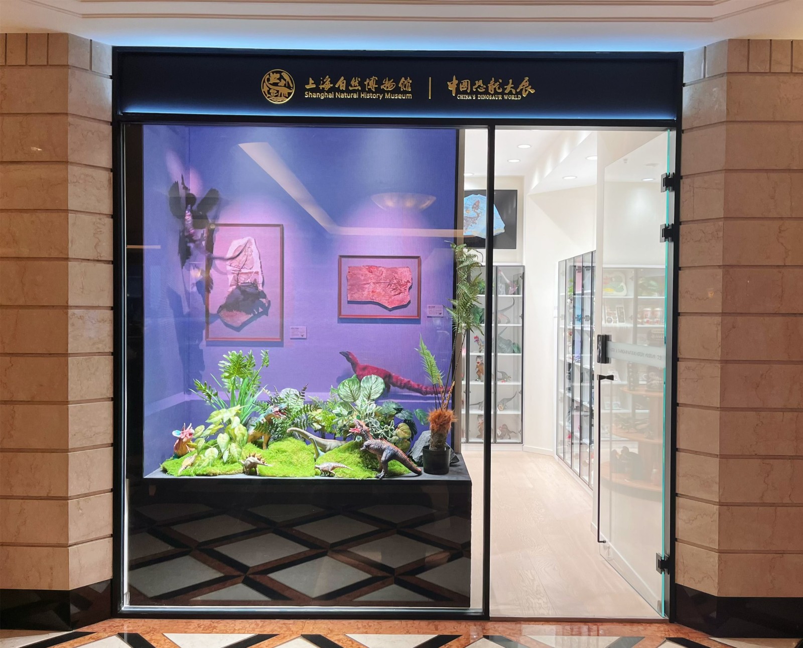 上海自然博物馆文创展厅入驻国际饭店拓展科普文创传播新阵地