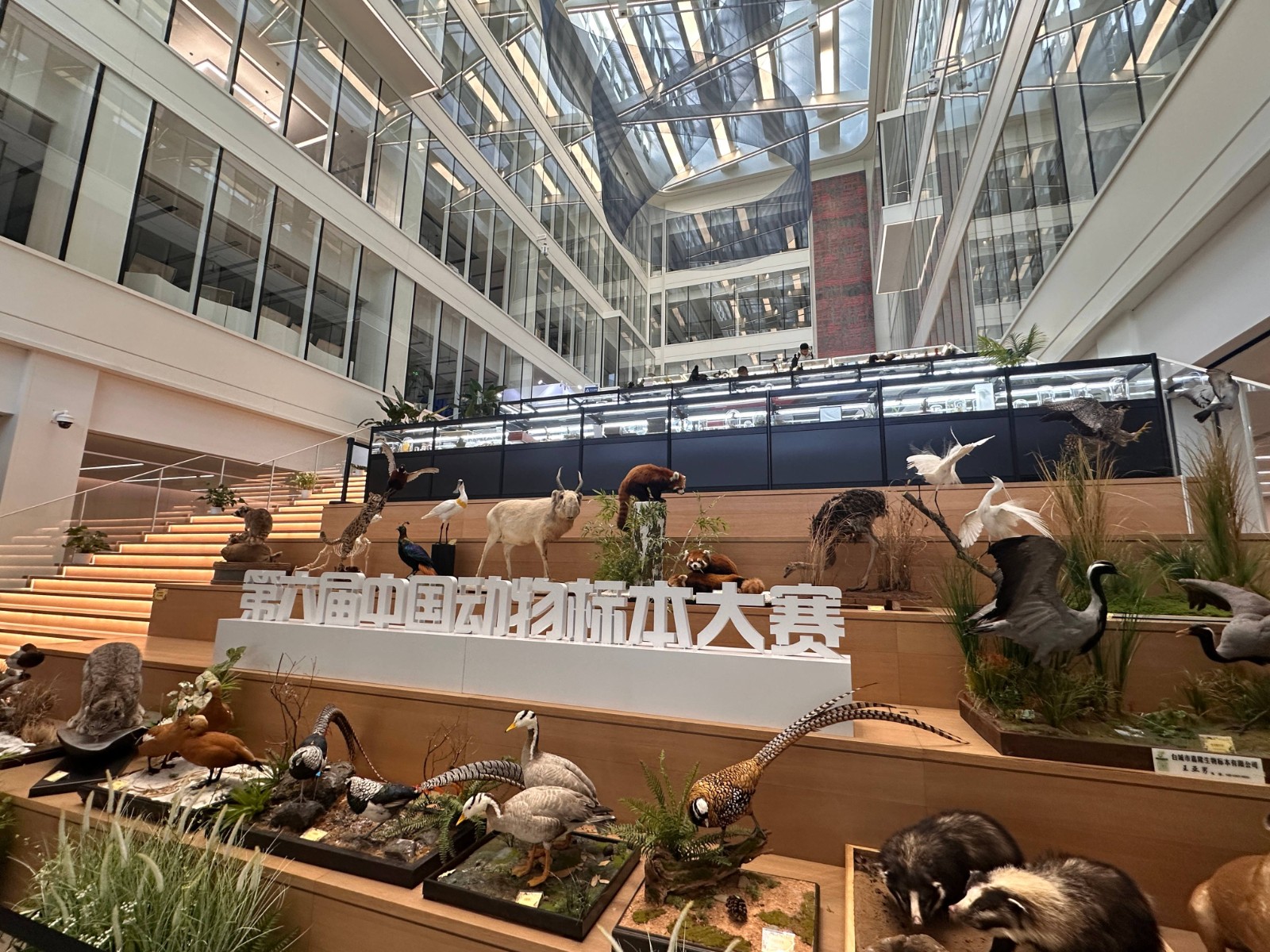 万物共生・第六届中国动物标本大赛颁奖典礼暨获奖作品展在上海开幕