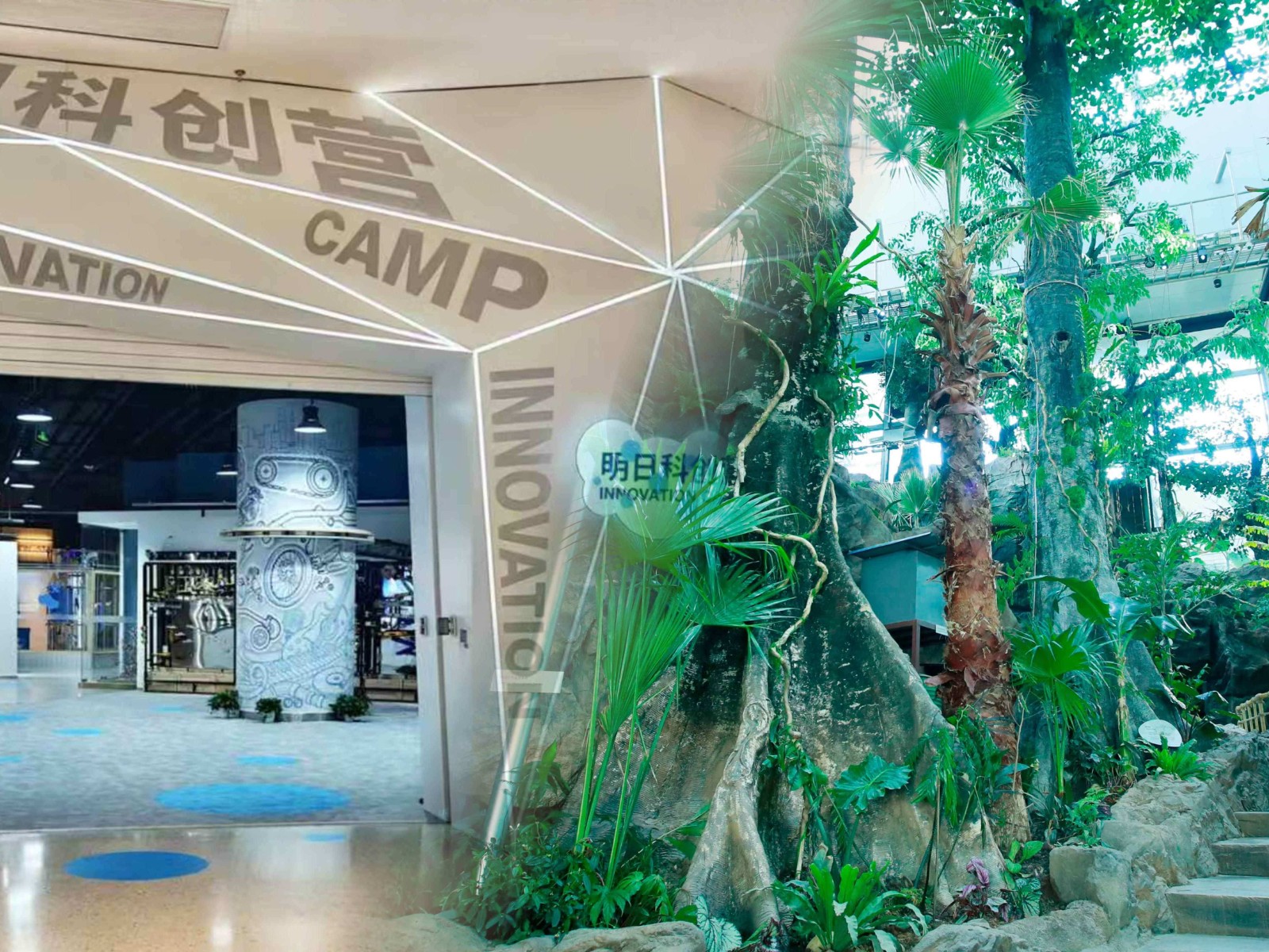 打造科创教育新高地！上海科技馆两大科普空间焕新亮相