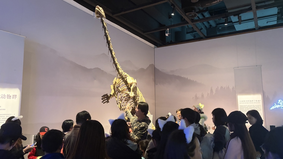 文汇报：9个月热度持续“破圈”，“中国恐龙大展”落幕，明年将赴海外