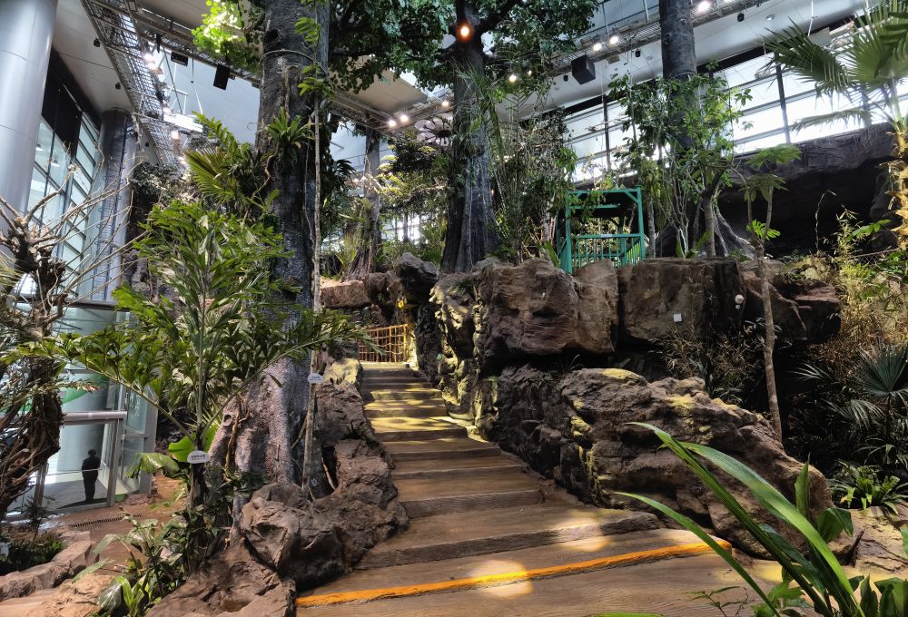 新华社：把“雨林”搬进都市 上海科技馆升级后最大展区对公众开放