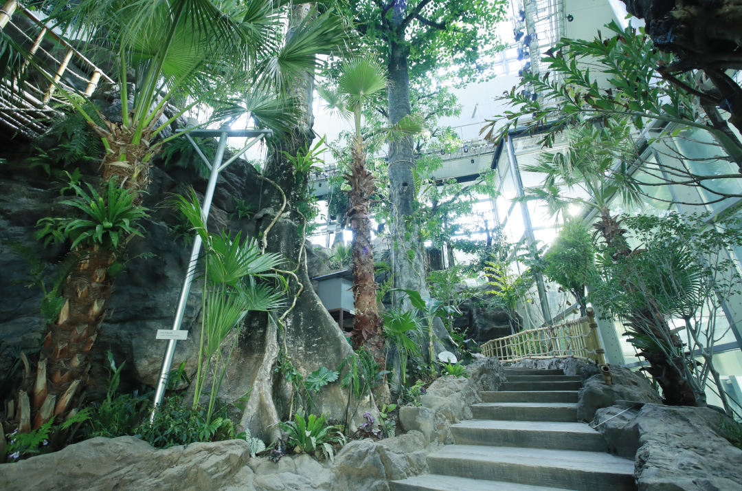 上海人民广播电台：科技馆再上新！"雨林秘境"展区压轴亮相、明日科创营开营